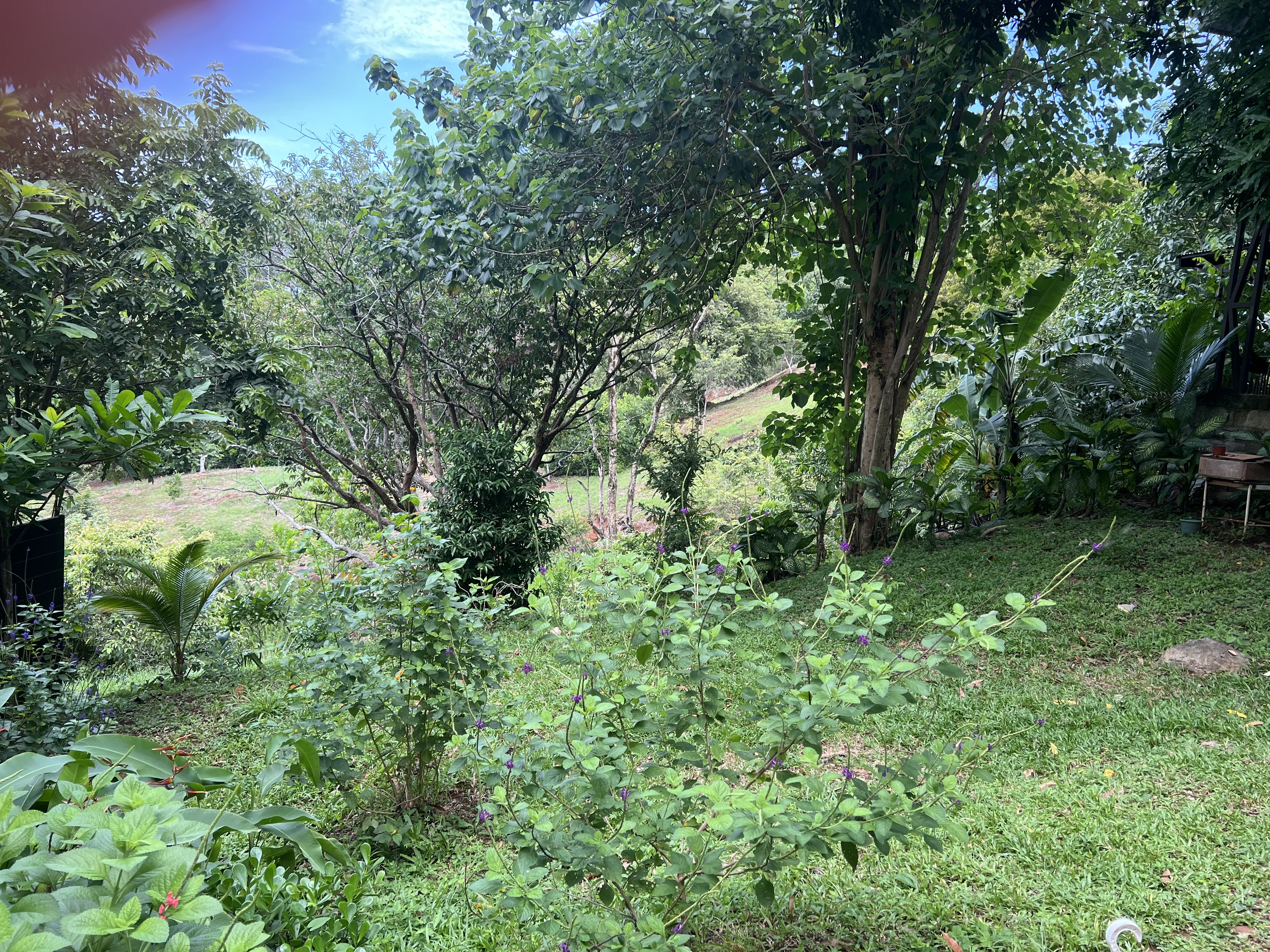3 bed Single Family Homes For Sale in Samara, Guanacaste - thumb 2