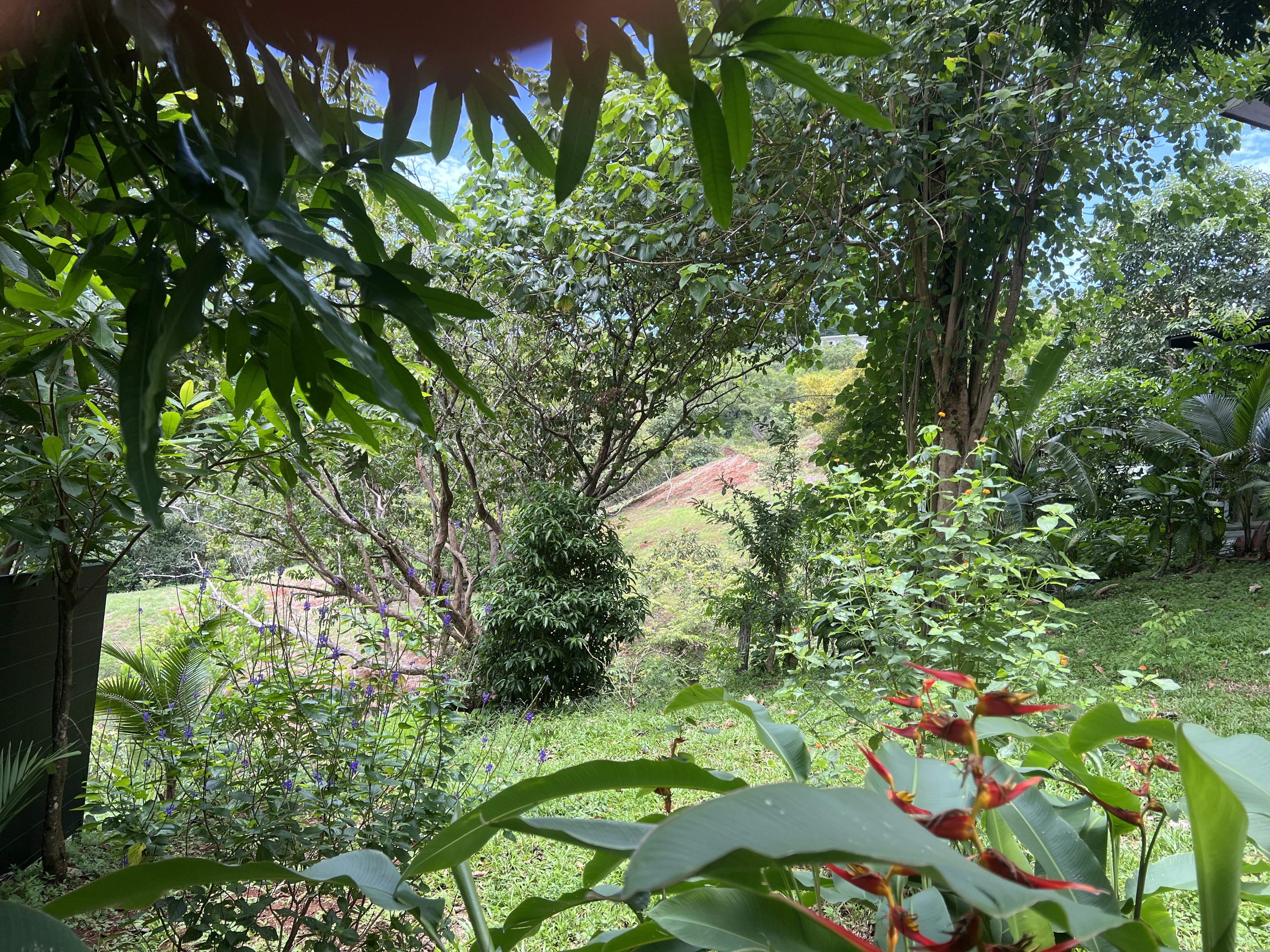 3 bed Single Family Homes For Sale in Samara, Guanacaste - thumb 3