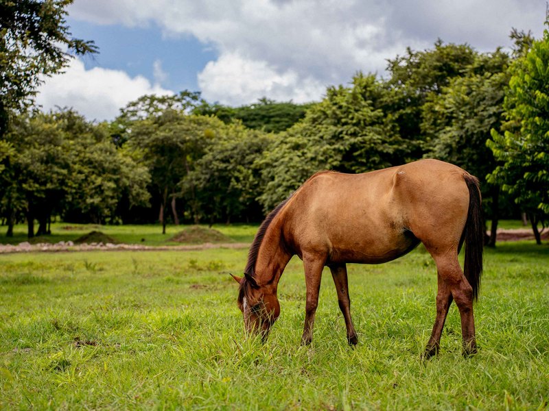 0 bed Land For Sale in Tamarindo, Guanacaste - hero 5