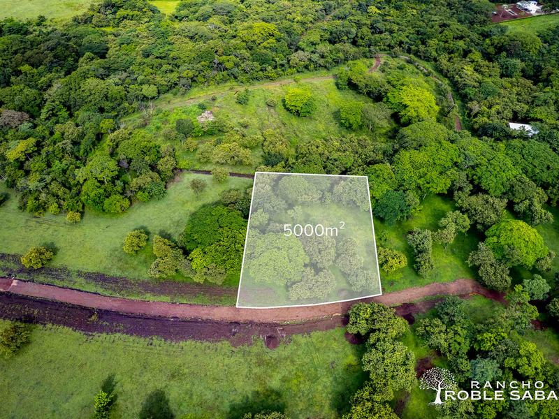 0 bed Land For Sale in Tamarindo, Guanacaste - hero 20