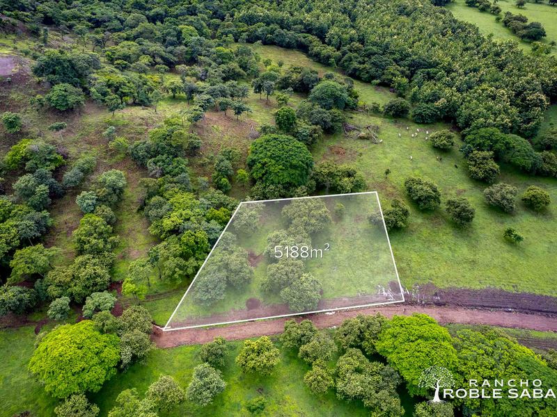 0 bed Land For Sale in Tamarindo, Guanacaste - hero 18