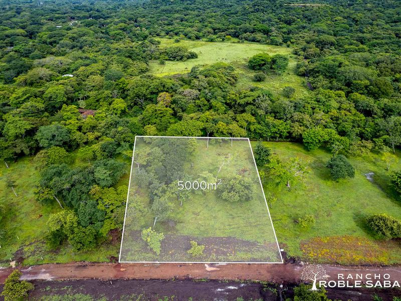 0 bed Land For Sale in Tamarindo, Guanacaste - hero 10