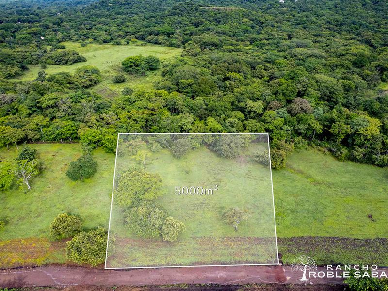 0 bed Land For Sale in Tamarindo, Guanacaste - hero 13