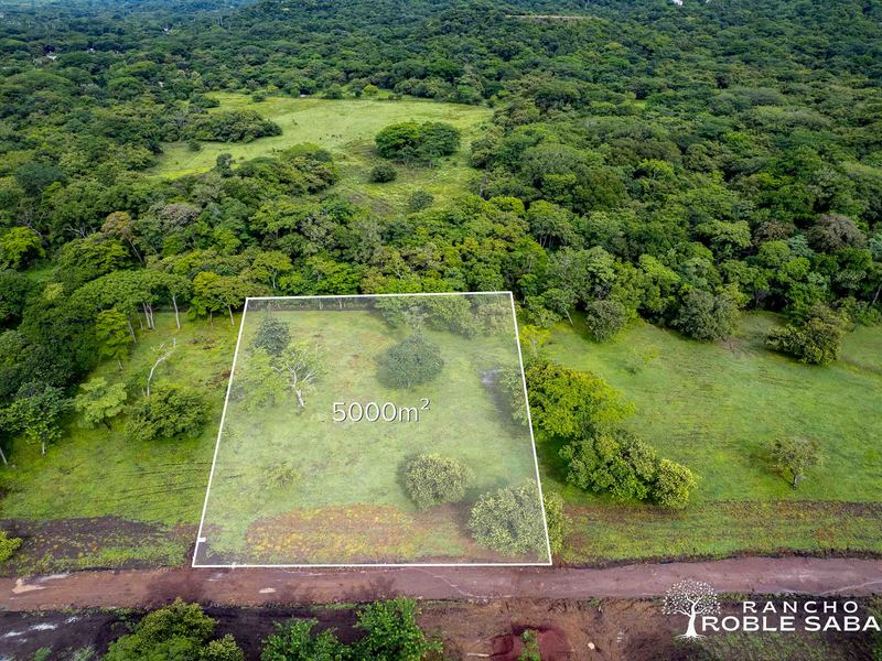 0 bed Land For Sale in Tamarindo, Guanacaste - hero 11