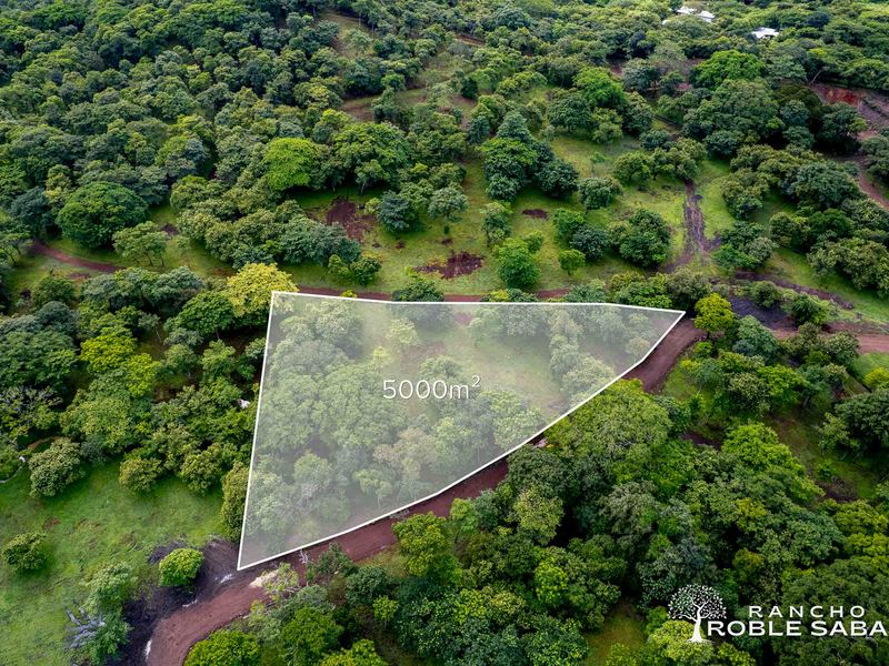 0 bed Land For Sale in Tamarindo, Guanacaste - hero 24