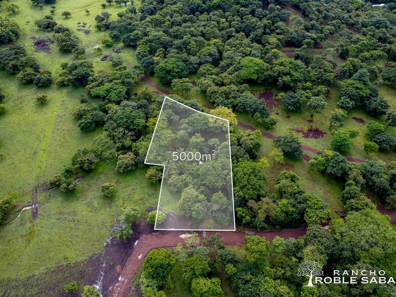 0 bed Land For Sale in Tamarindo, Guanacaste - hero 23
