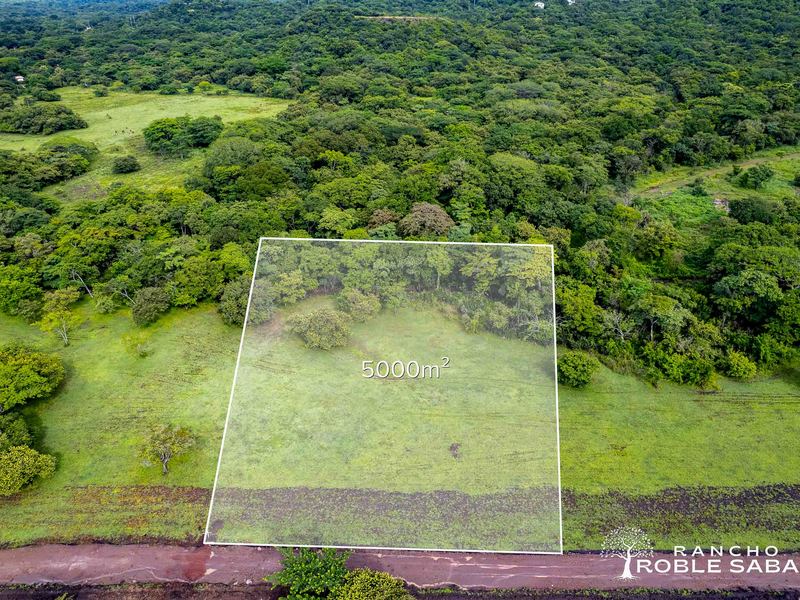 0 bed Land For Sale in Tamarindo, Guanacaste - hero 15