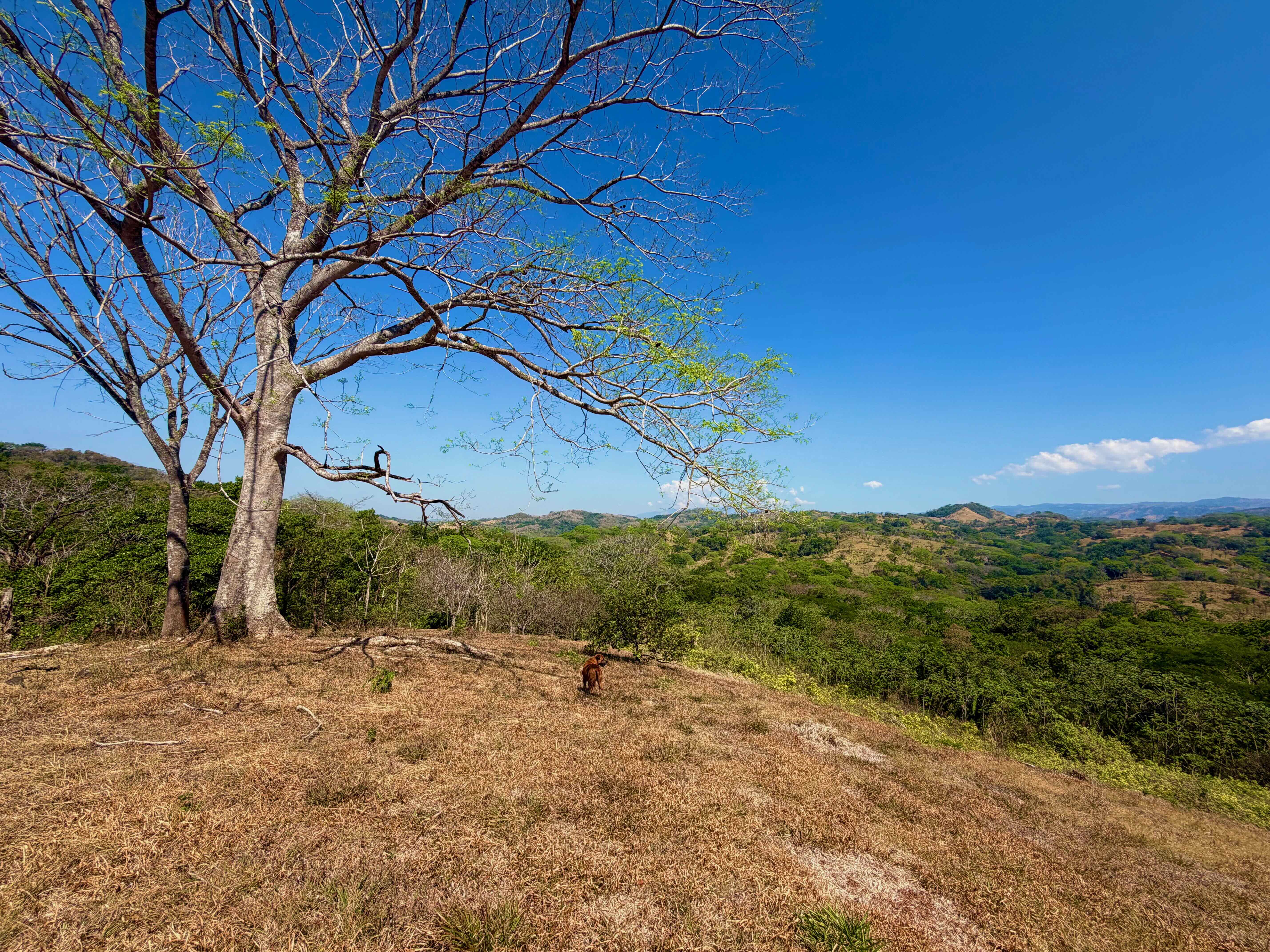 5 bed Land For Sale in Orotina, Alajuela - thumb 26
