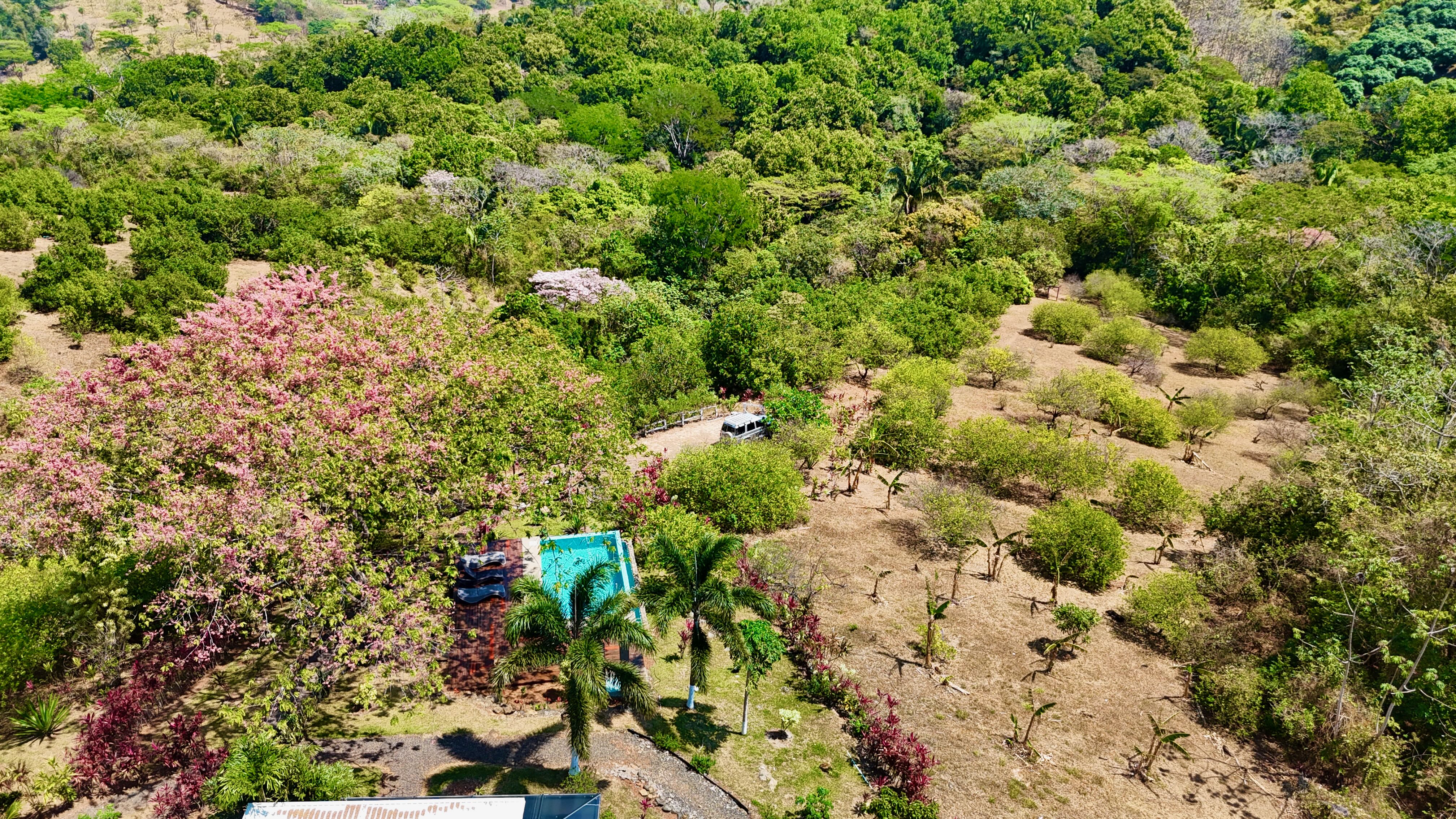 5 bed Land For Sale in Orotina, Alajuela - thumb 16