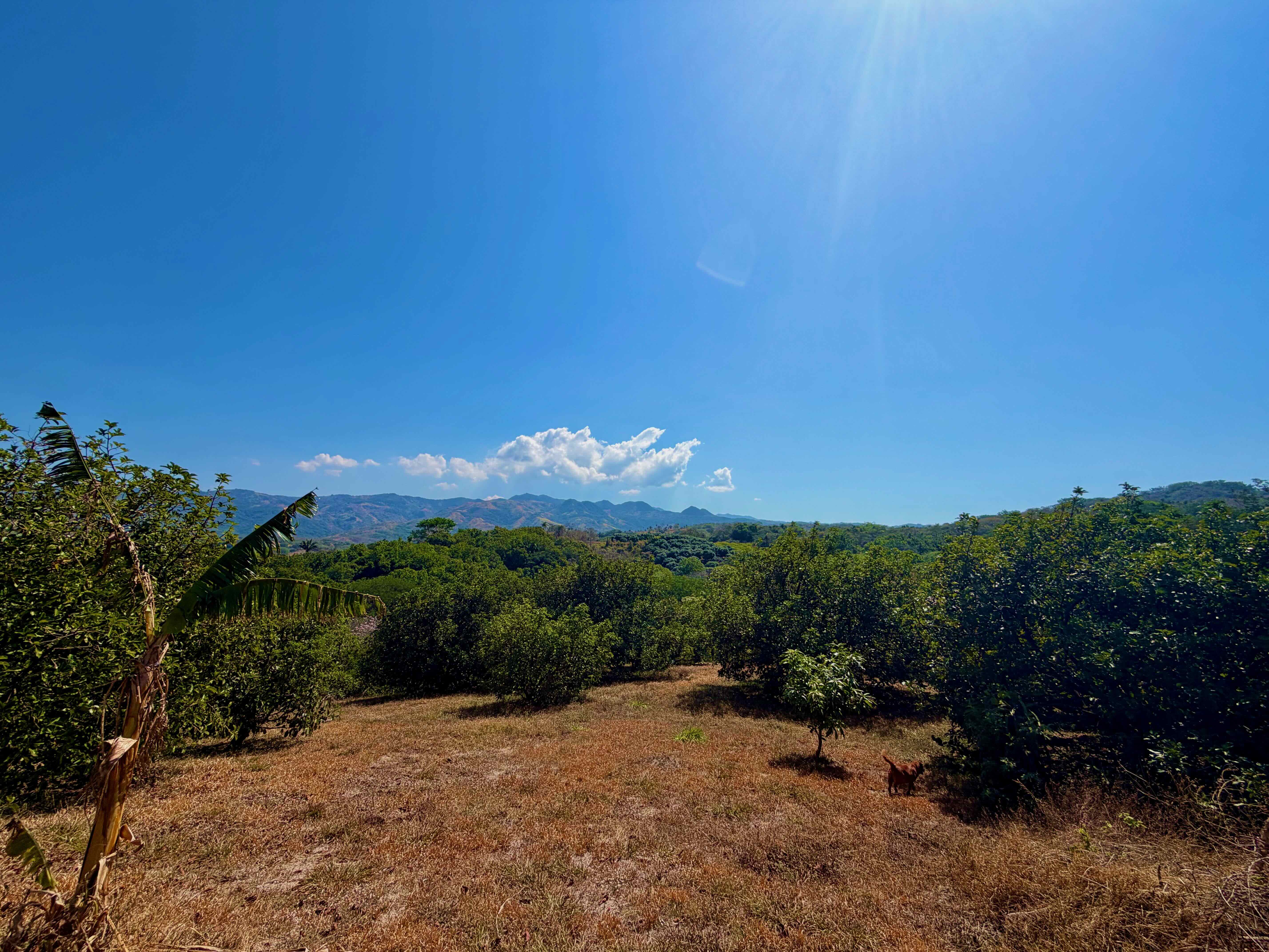 5 bed Land For Sale in Orotina, Alajuela - thumb 27