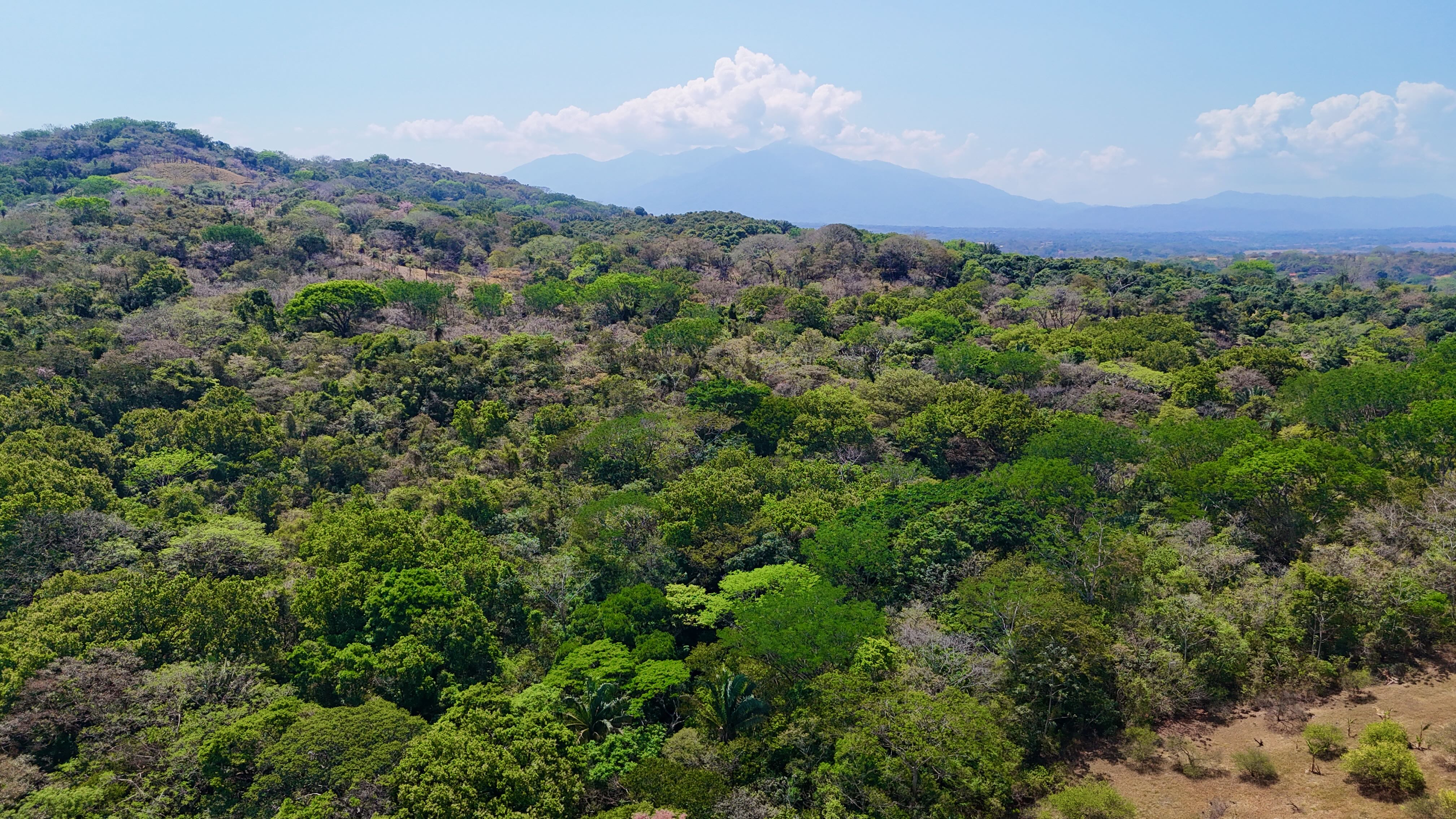 5 bed Land For Sale in Orotina, Alajuela - thumb 20