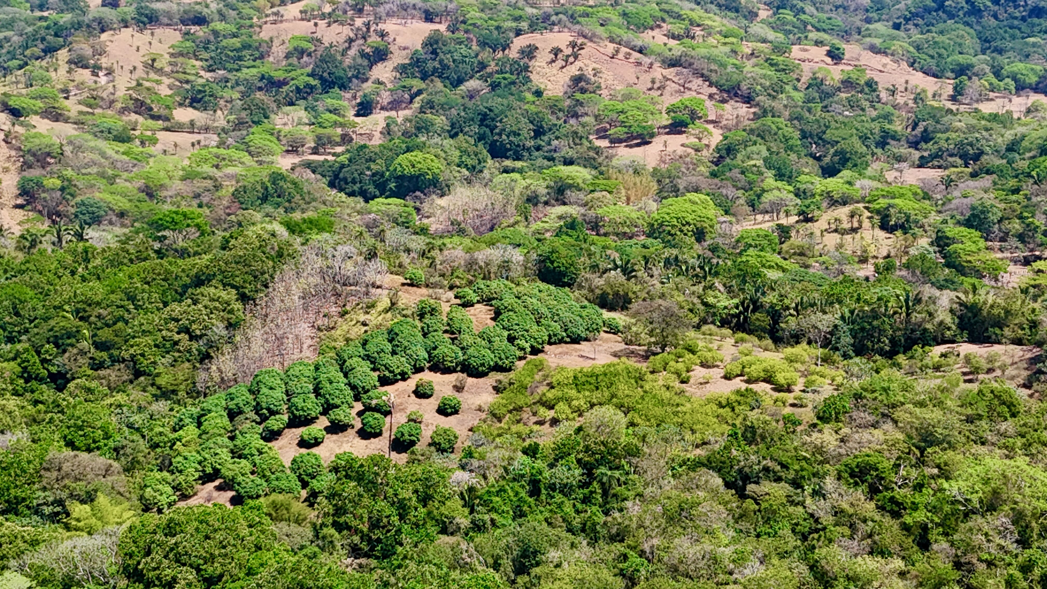 5 bed Land For Sale in Orotina, Alajuela - thumb 23
