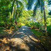  - Private Oceanview Sanctuary Above Uvita\s Iconic Whales Tail, 3 Bed, 3 Bath