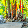  - Private Oceanview Sanctuary Above Uvita\s Iconic Whales Tail, 3 Bed, 3 Bath