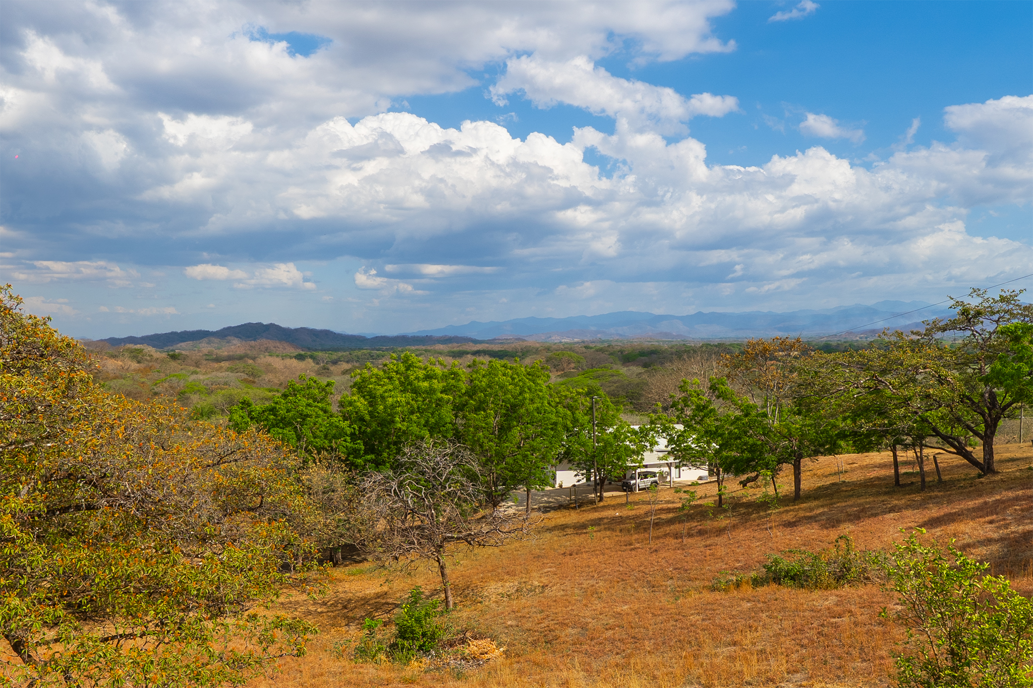 2 bed Single Family Homes For Sale in Huacas, Guanacaste - thumb 20