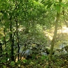  - Ocean View Property with River & Waterfall Access - Tres Ríos de Osa