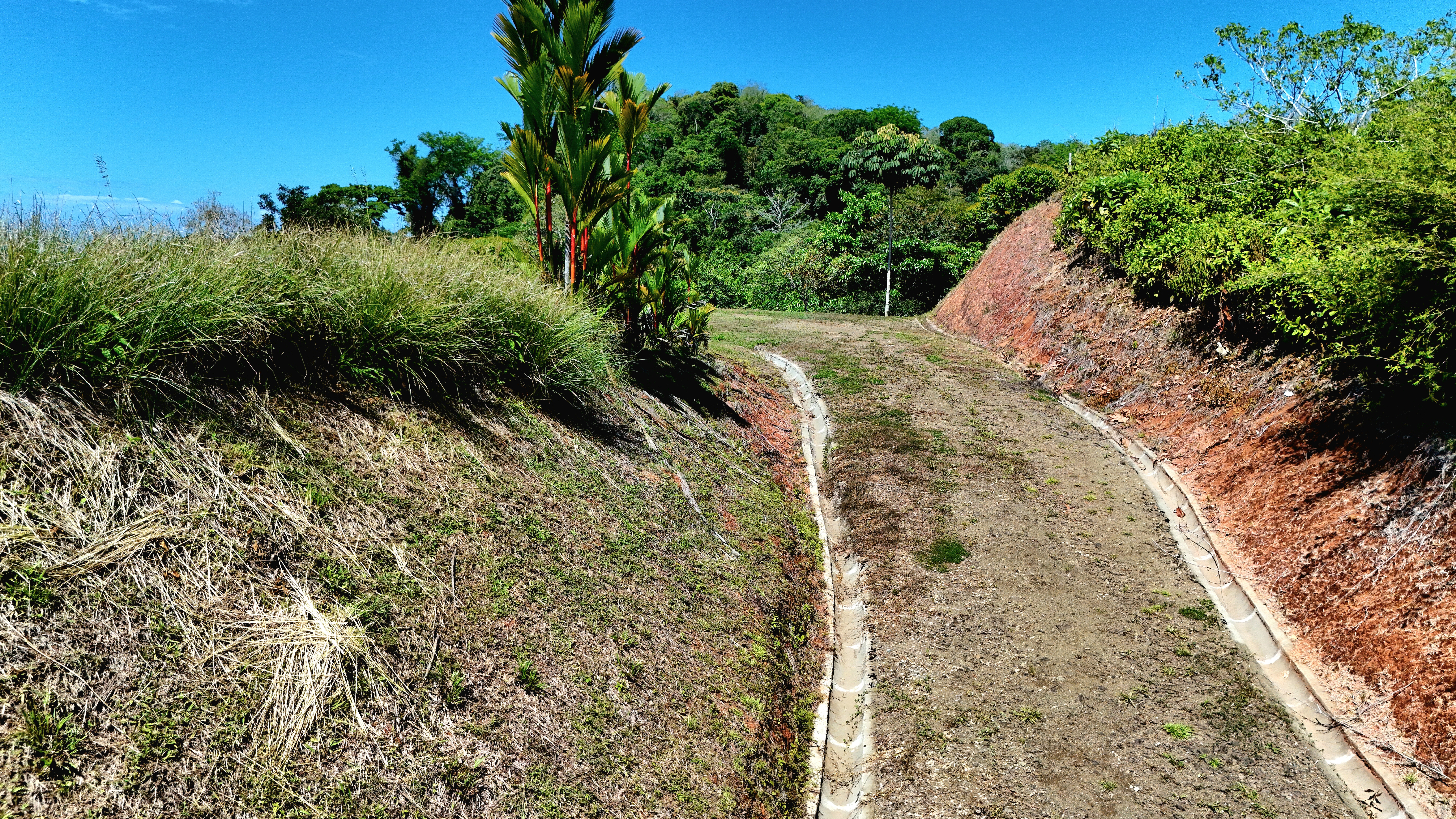 0 bed Land For Sale in Uvita, Puntarenas - thumb 13