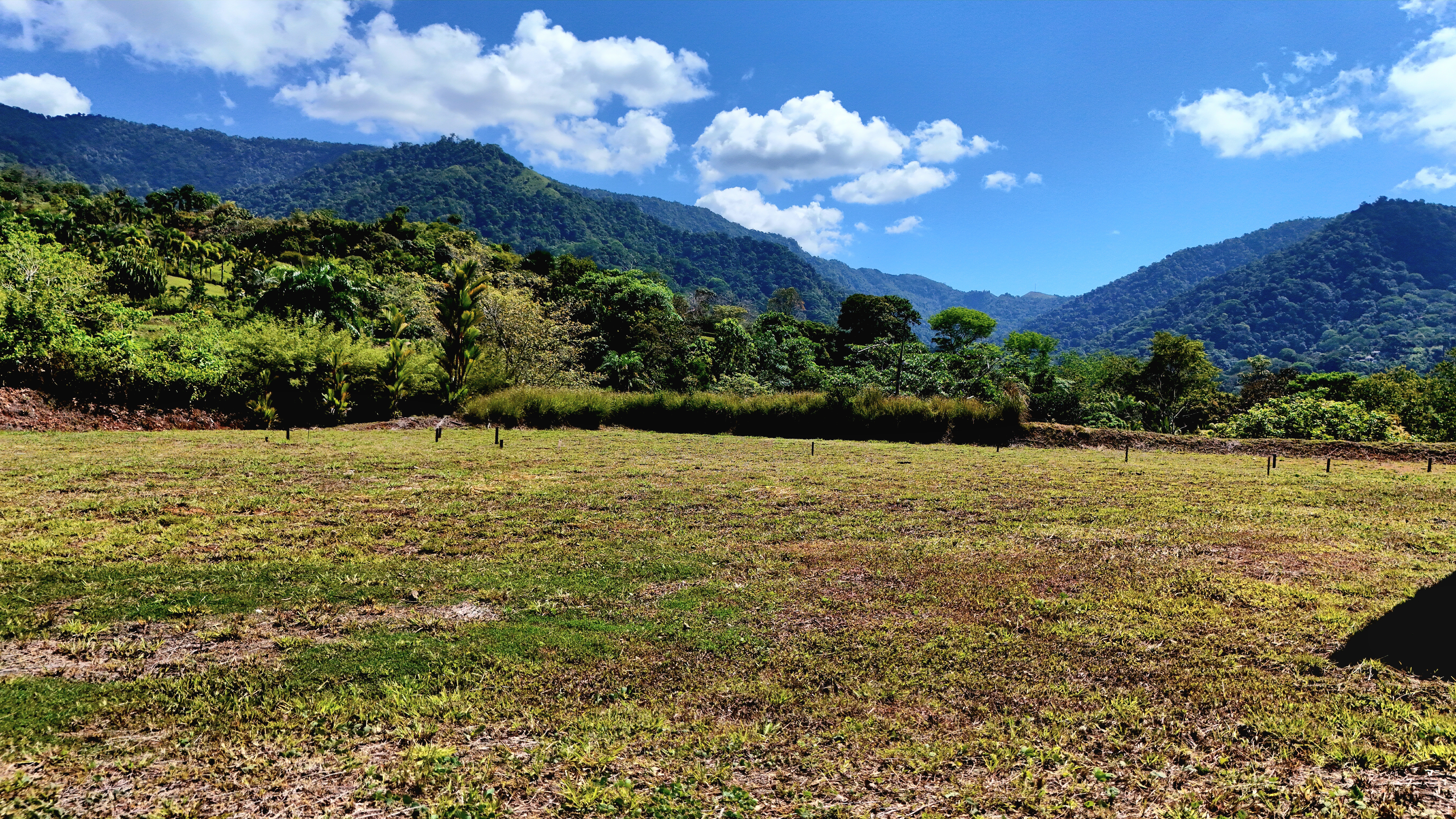 0 bed Land For Sale in Uvita, Puntarenas - thumb 5