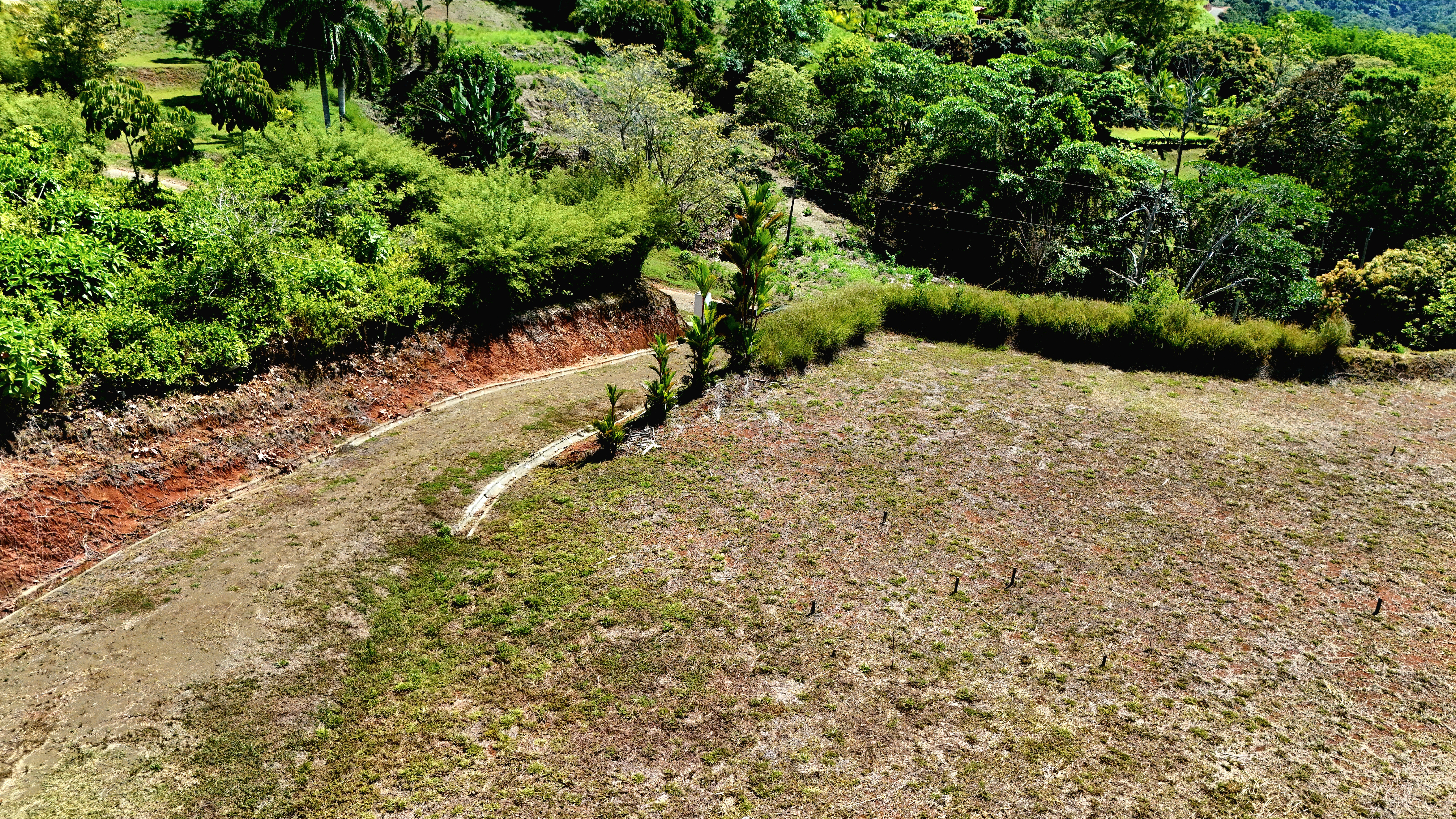 0 bed Land For Sale in Uvita, Puntarenas - thumb 7