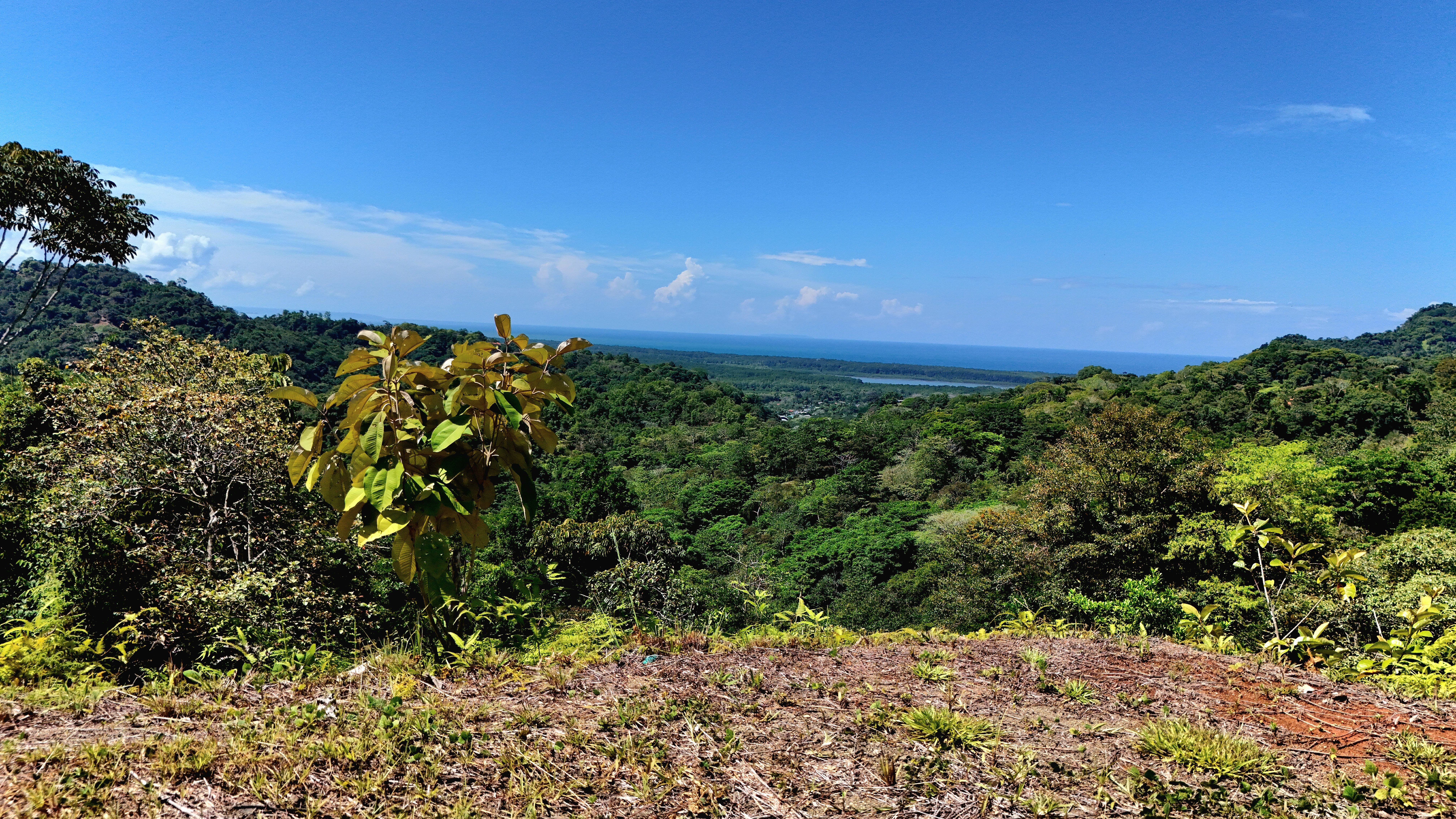 0 bed Land For Sale in Uvita, Puntarenas - thumb 1
