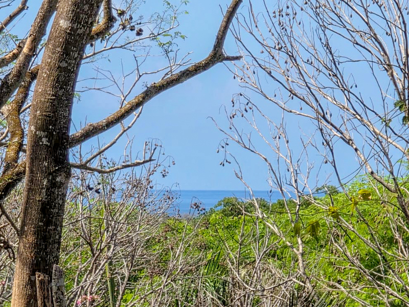 0 bed Land For Sale in Samara, Guanacaste - 1