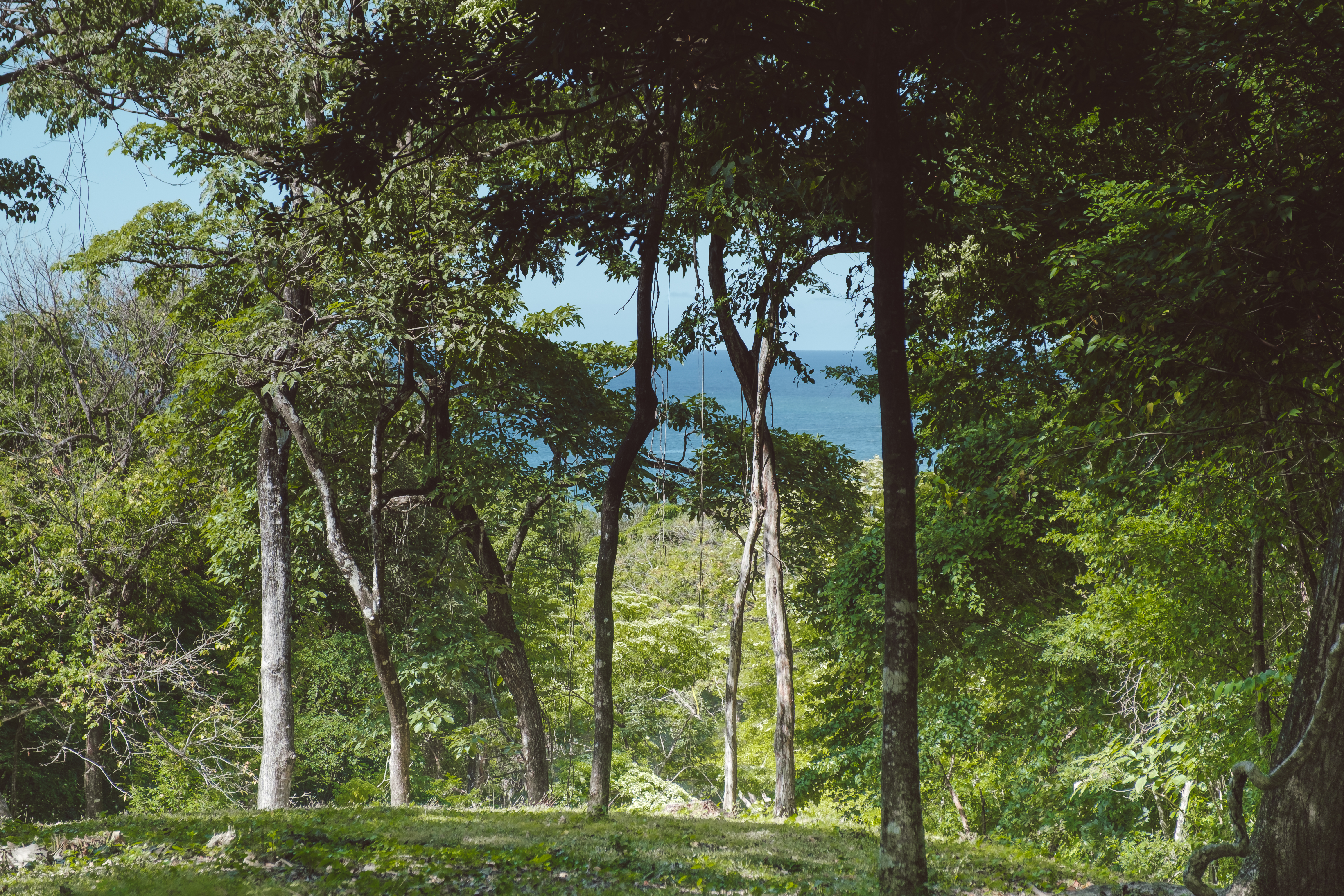 0 bed Land For Sale in Santa Cruz, Guanacaste - thumb 9