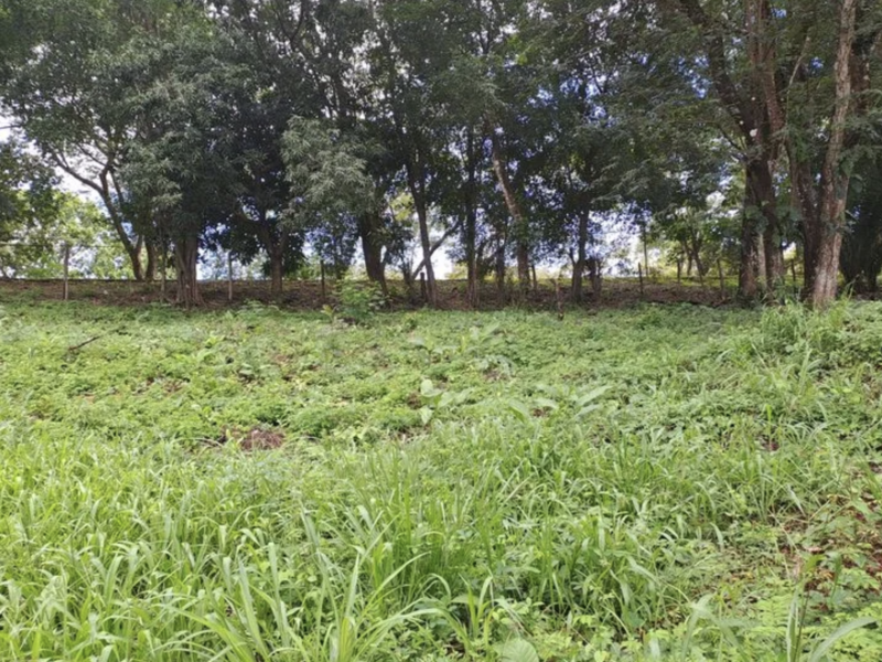 0 bed Land For Sale in Playa Carrillo, Guanacaste - 1