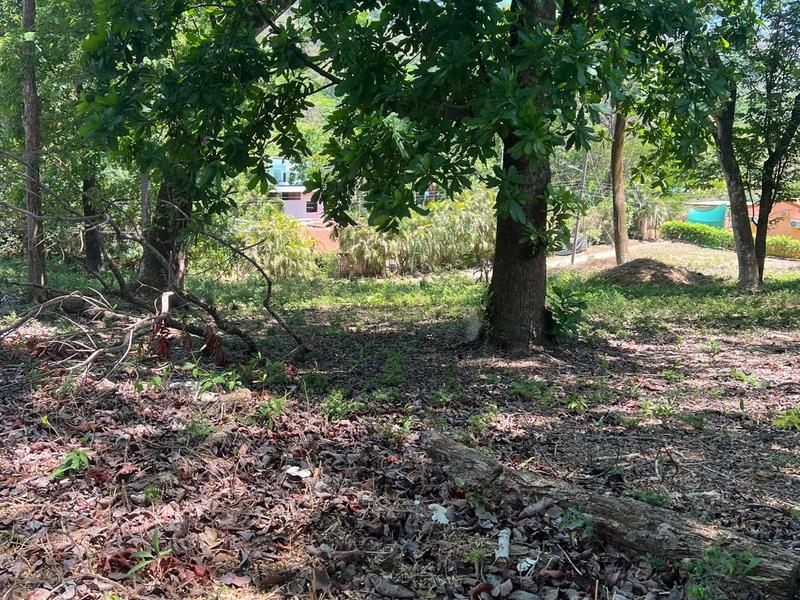 0 bed Land For Sale in Playa Carrillo, Guanacaste - 1