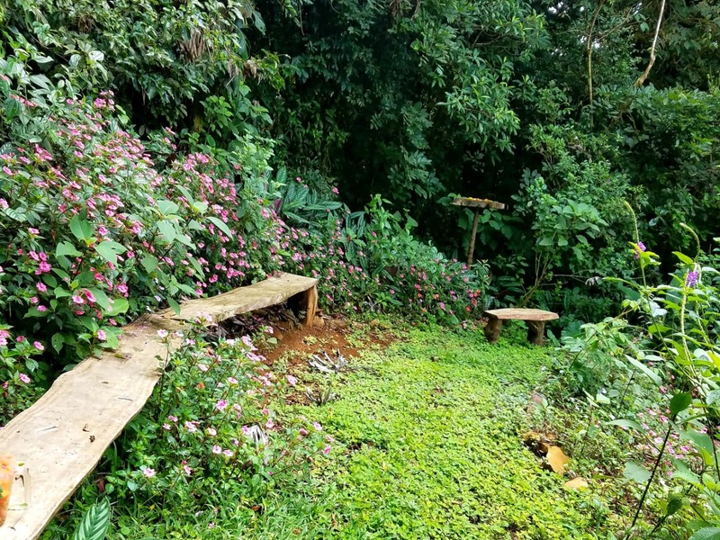 4 bed Single Family Homes For Sale in San Ramon, Alajuela - hero 28
