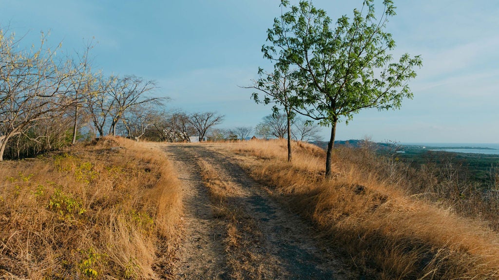 0 bed Land For Sale in Playa Grande, Guanacaste - thumb 7