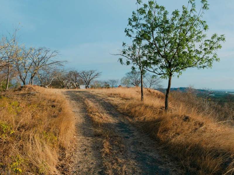 0 bed Land For Sale in Playa Grande, Guanacaste - hero 7