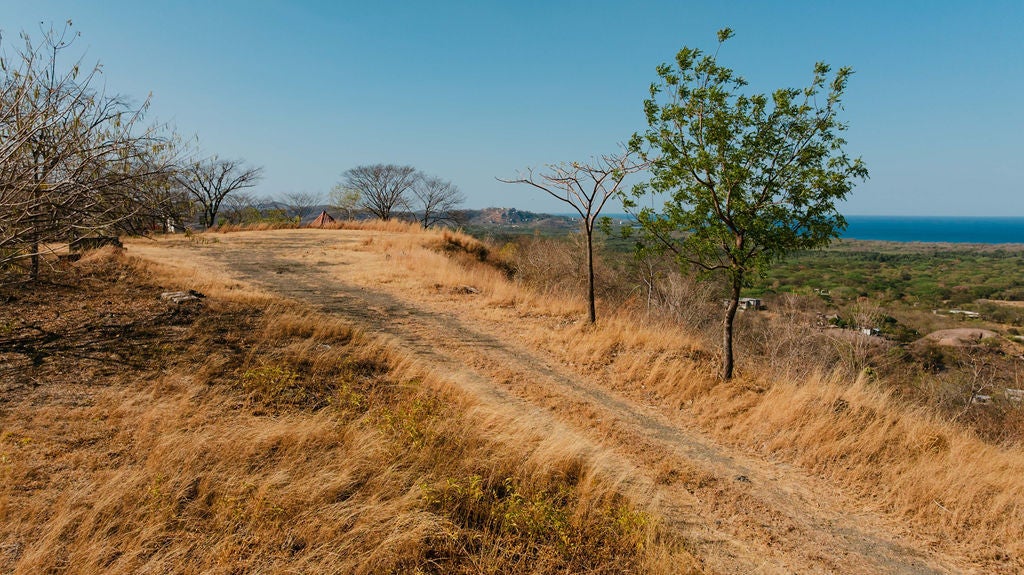0 bed Land For Sale in Playa Grande, Guanacaste - thumb 13