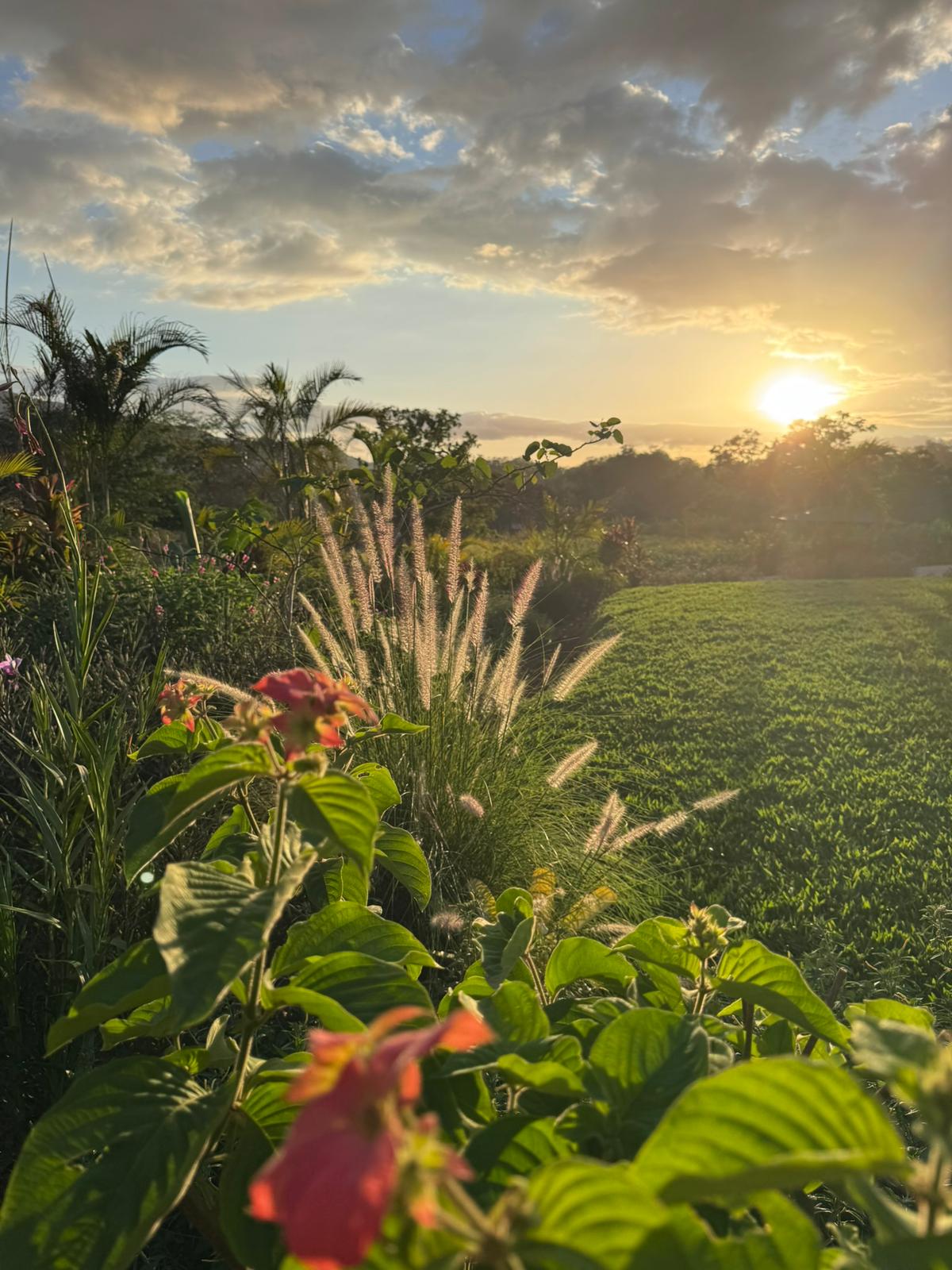 2 bed Single Family Homes For Sale in Hojancha, Guanacaste - thumb 20