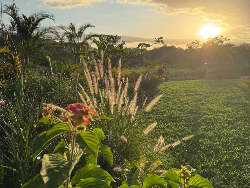 2 bed Single Family Homes For Sale in Hojancha, Guanacaste - hero 20