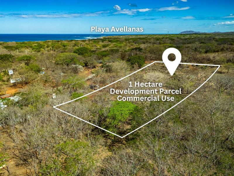 0 bed Land For Sale in Avellanas, Guanacaste - 1