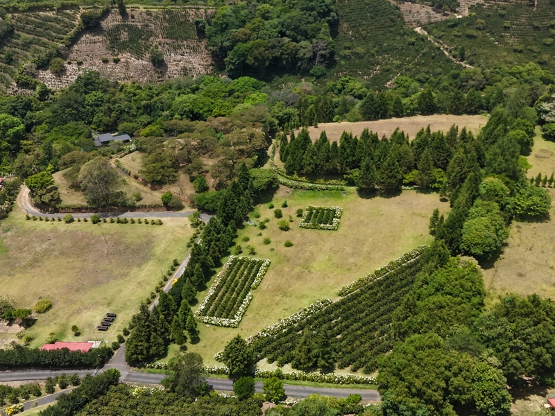 0 bed Land For Sale in Grecia, Alajuela - hero 12