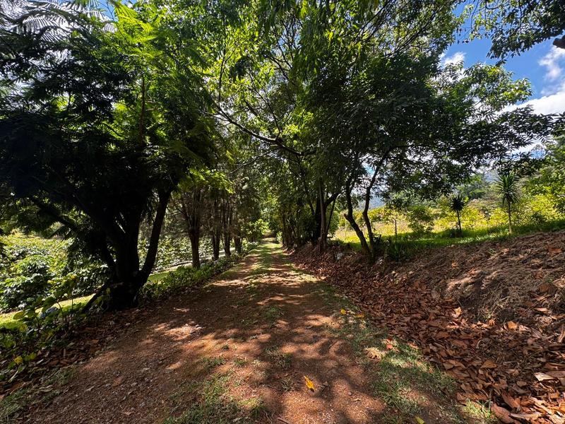 0 bed Land For Sale in Grecia, Alajuela - hero 7