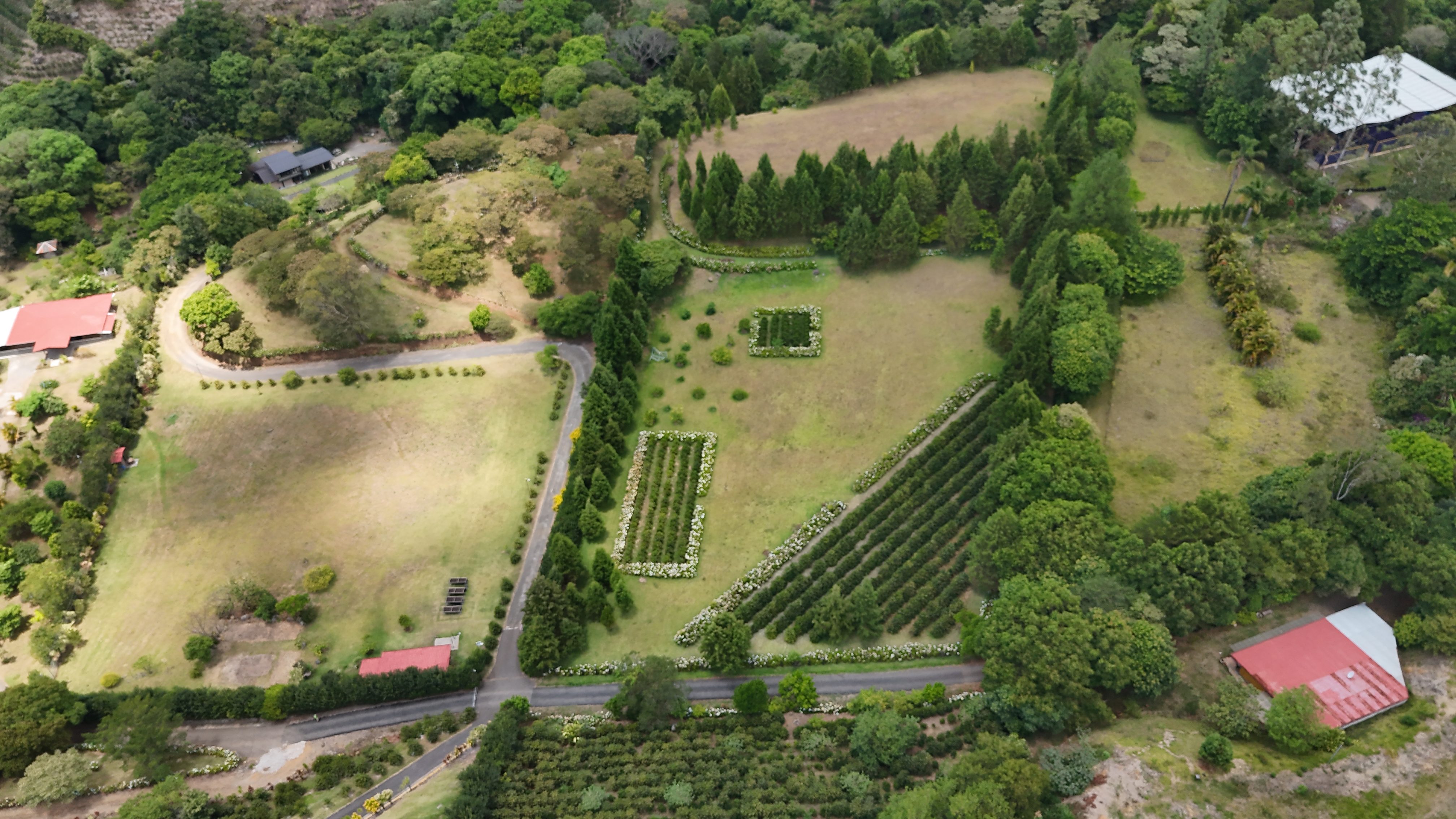 0 bed Land For Sale in Grecia, Alajuela - thumb 16