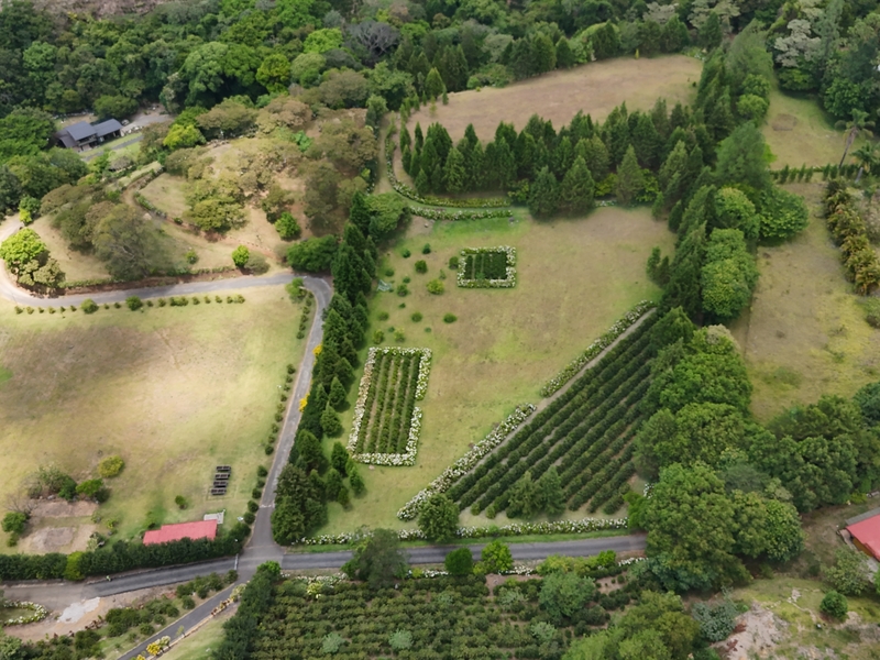 0 bed Land For Sale in Grecia, Alajuela - hero 16