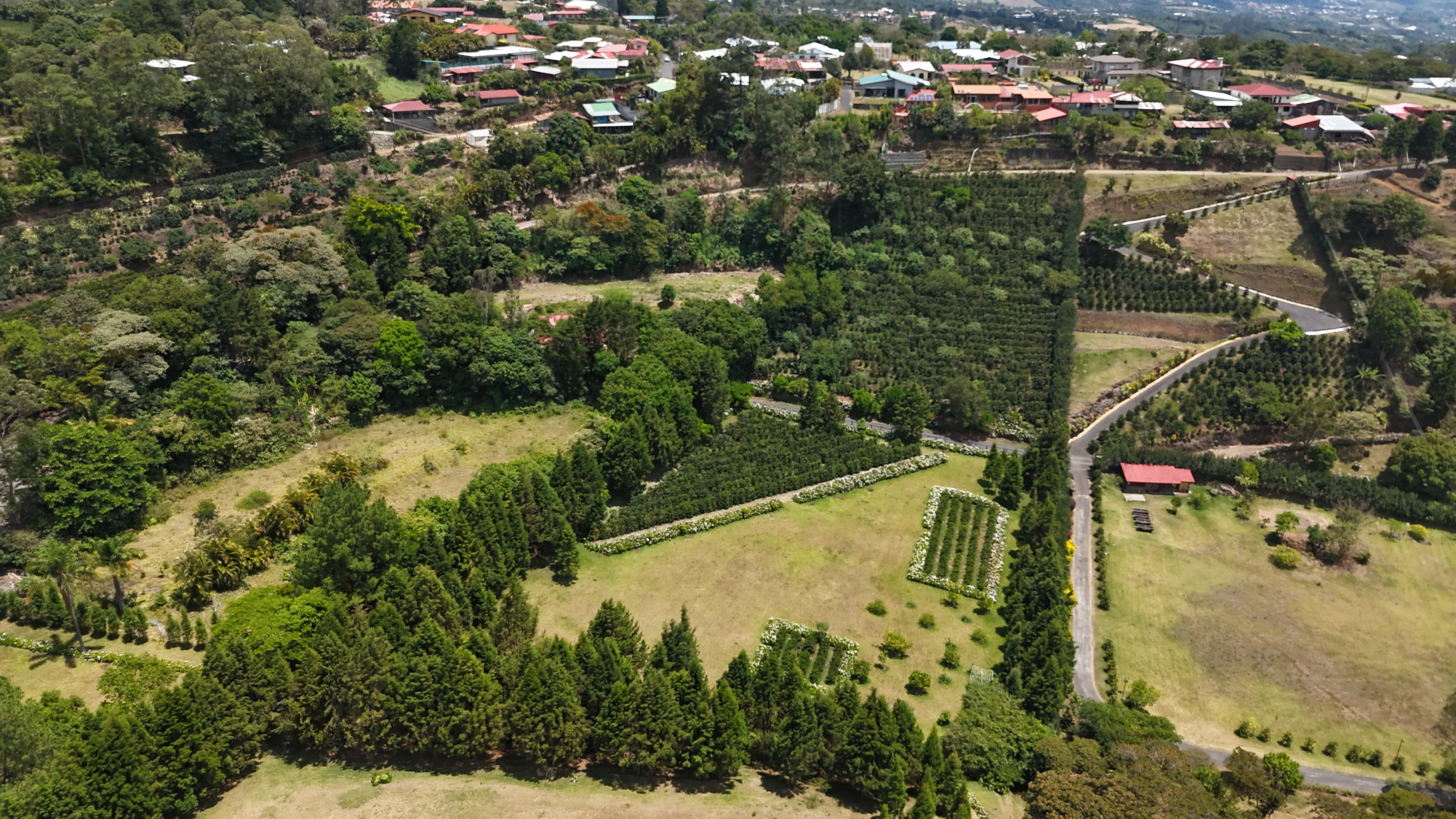 0 bed Land For Sale in Grecia, Alajuela - thumb 10