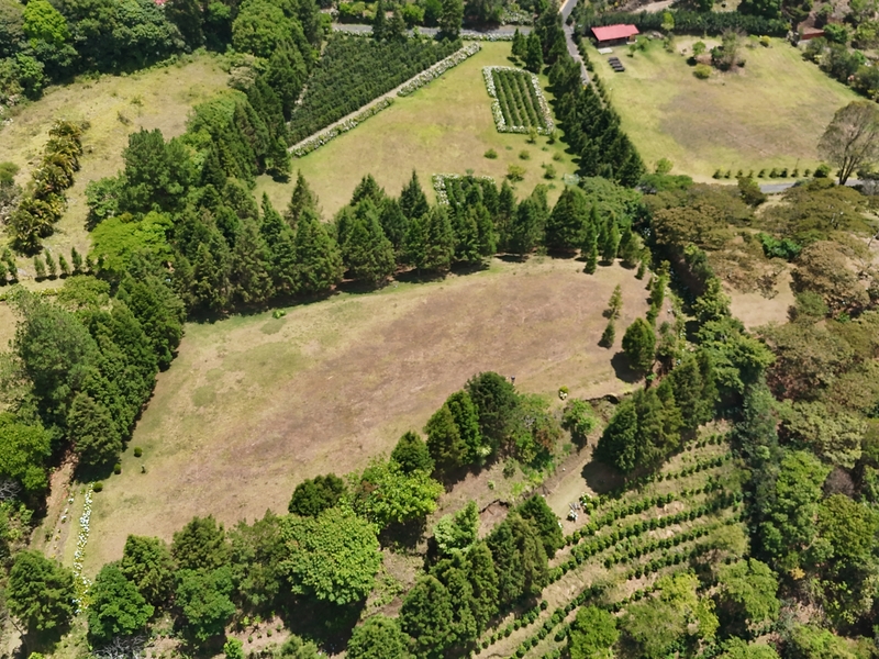 0 bed Land For Sale in Grecia, Alajuela - hero 9