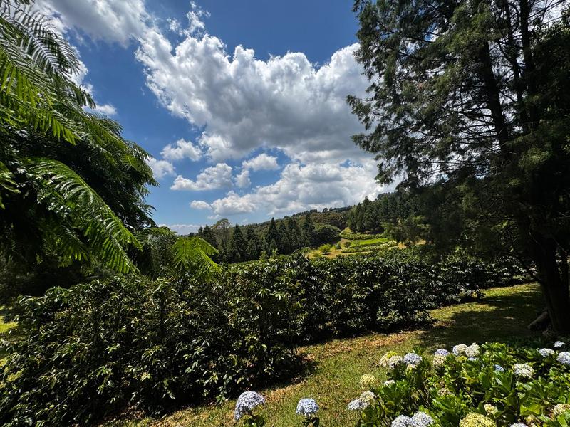0 bed Land For Sale in Grecia, Alajuela - hero 5