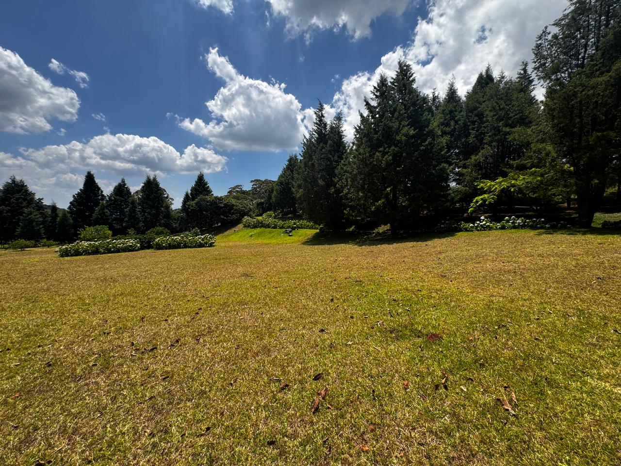 0 bed Land For Sale in Grecia, Alajuela - thumb 1