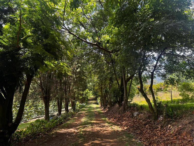 0 bed Land For Sale in Grecia, Alajuela - hero 6