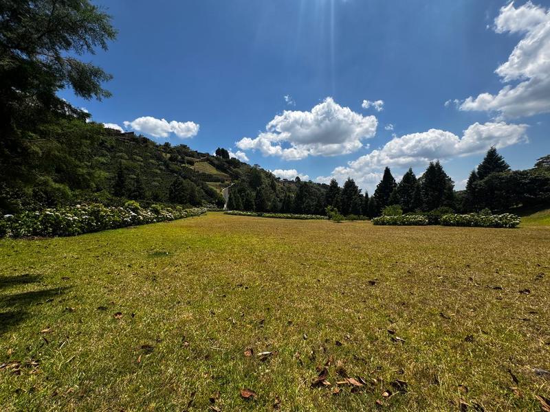 0 bed Land For Sale in Grecia, Alajuela - hero 3