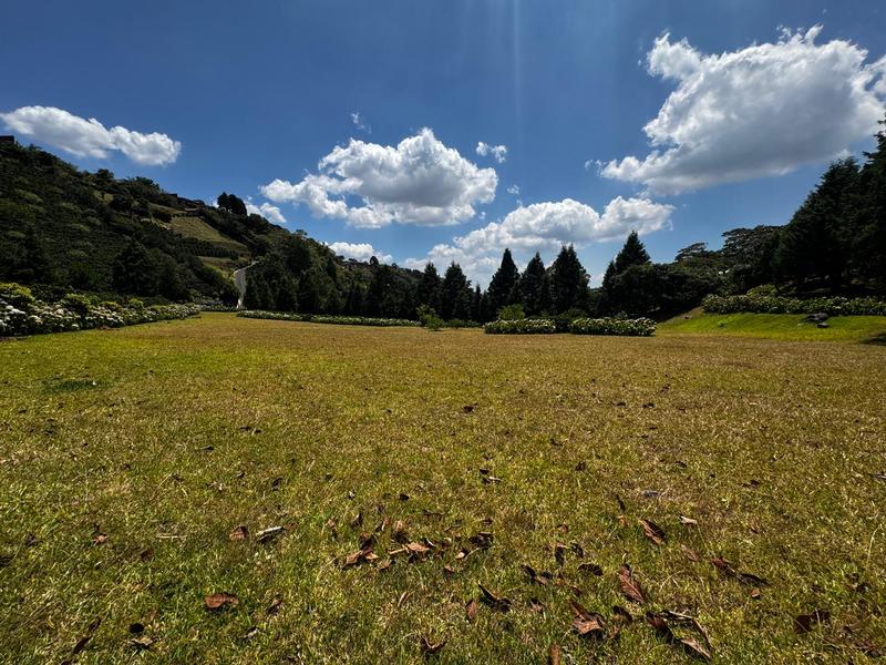 0 bed Land For Sale in Grecia, Alajuela - hero 2