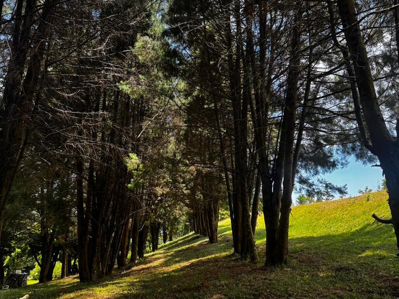 0 bed Land For Sale in Grecia, Alajuela - hero 4