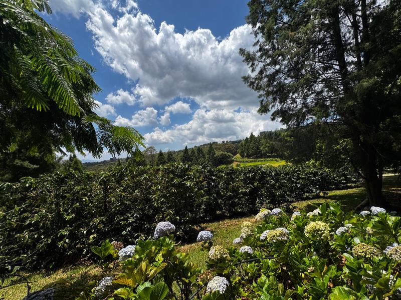 0 bed Land For Sale in Grecia, Alajuela - hero 8