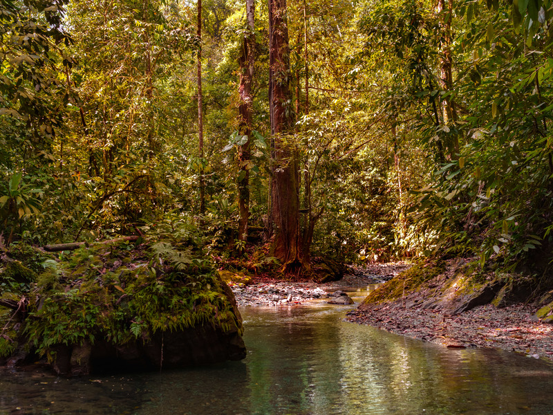 0 bed Land For Sale in Golfito, Puntarenas - hero 3