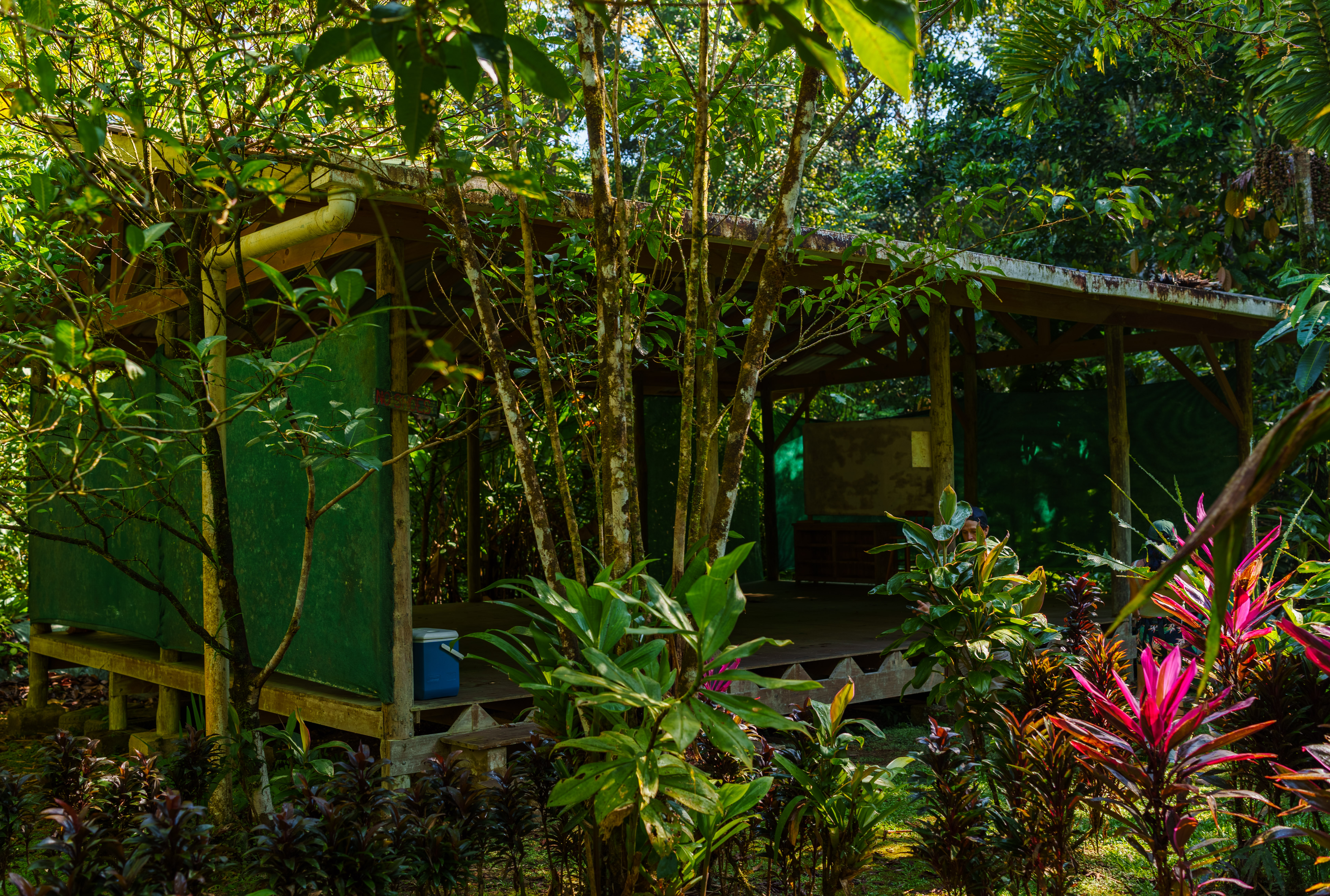 0 bed Land For Sale in Golfito, Puntarenas - thumb 6